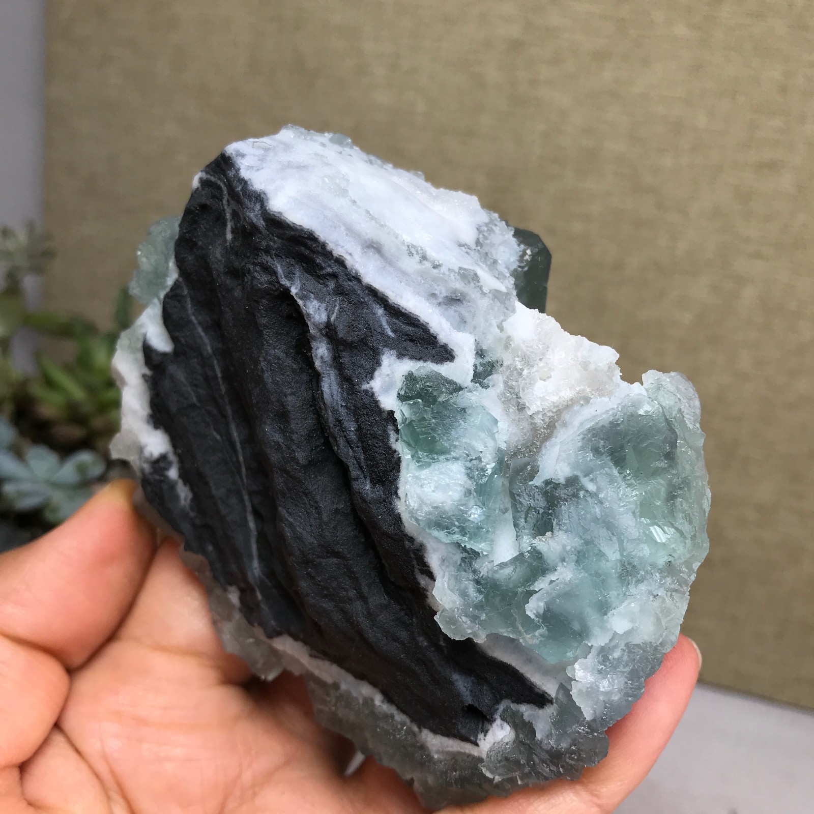 271g NATURAL Green Cubic FLUORITE paragenesis Crystal Cluster Specimen A4776