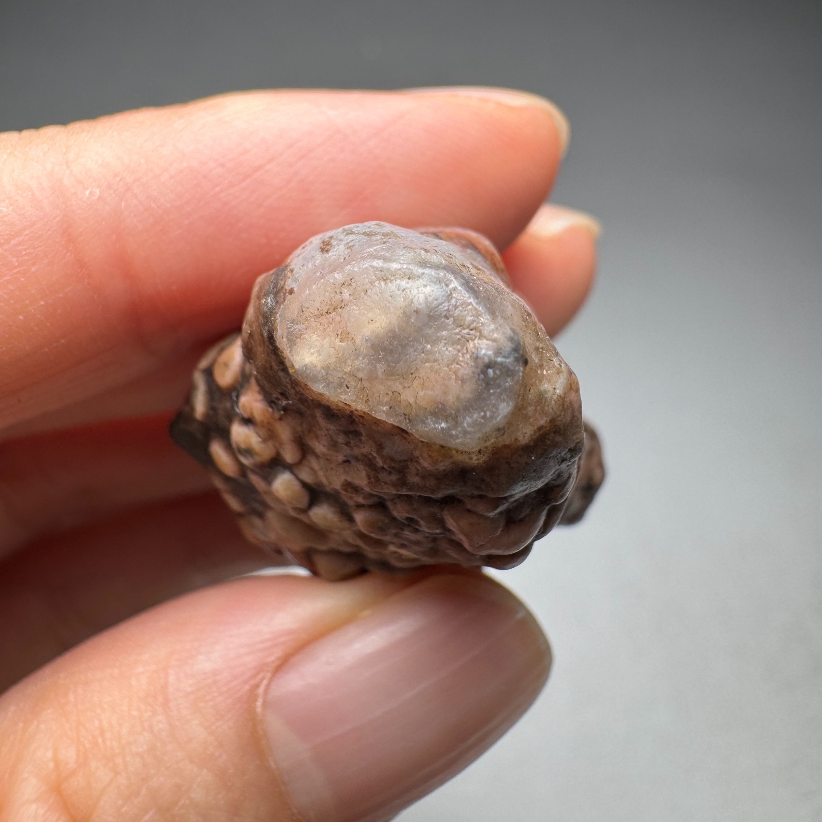 5.6cm/25G Raw & Natural Alxa Gobi Raised Fish Roe Vein Agate,Inner Mongolia#6556
