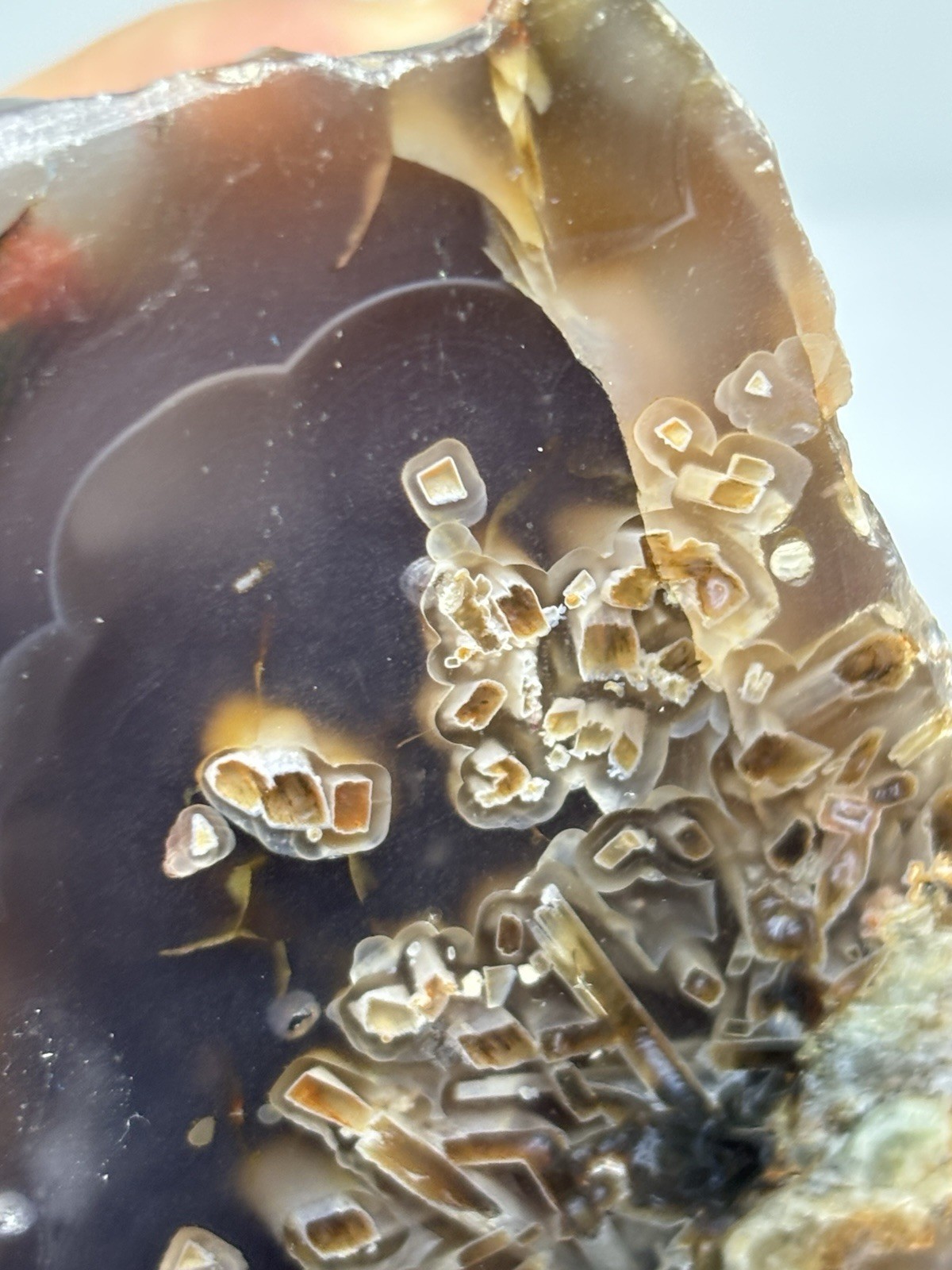 419g Rare Ankara Sagenite Agate Unpolished Natural Turkish
