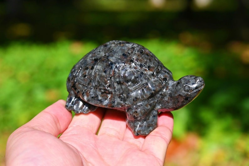 3.8″ Natural Yooperlite Tortoise Carved Reiki Healing Decor crystal Gift 1pc