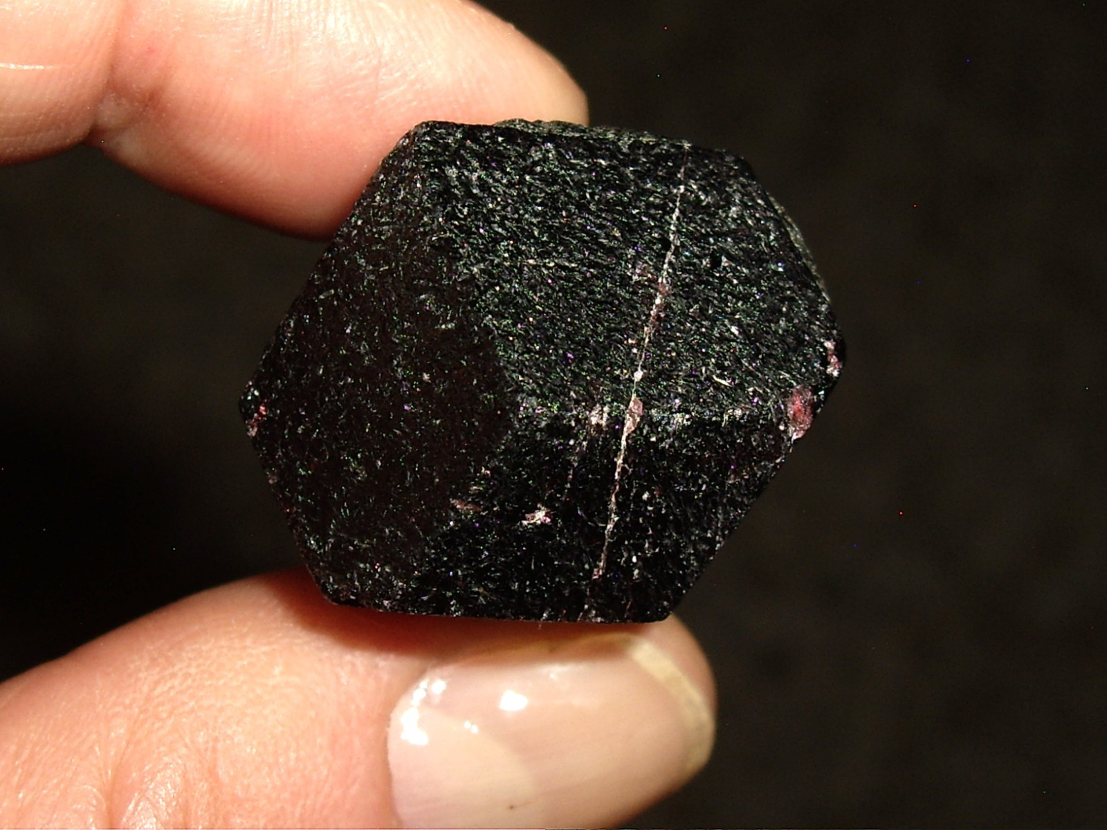 Deep Red Medium Large Garnet Crystal (Almandine ) 29.8g