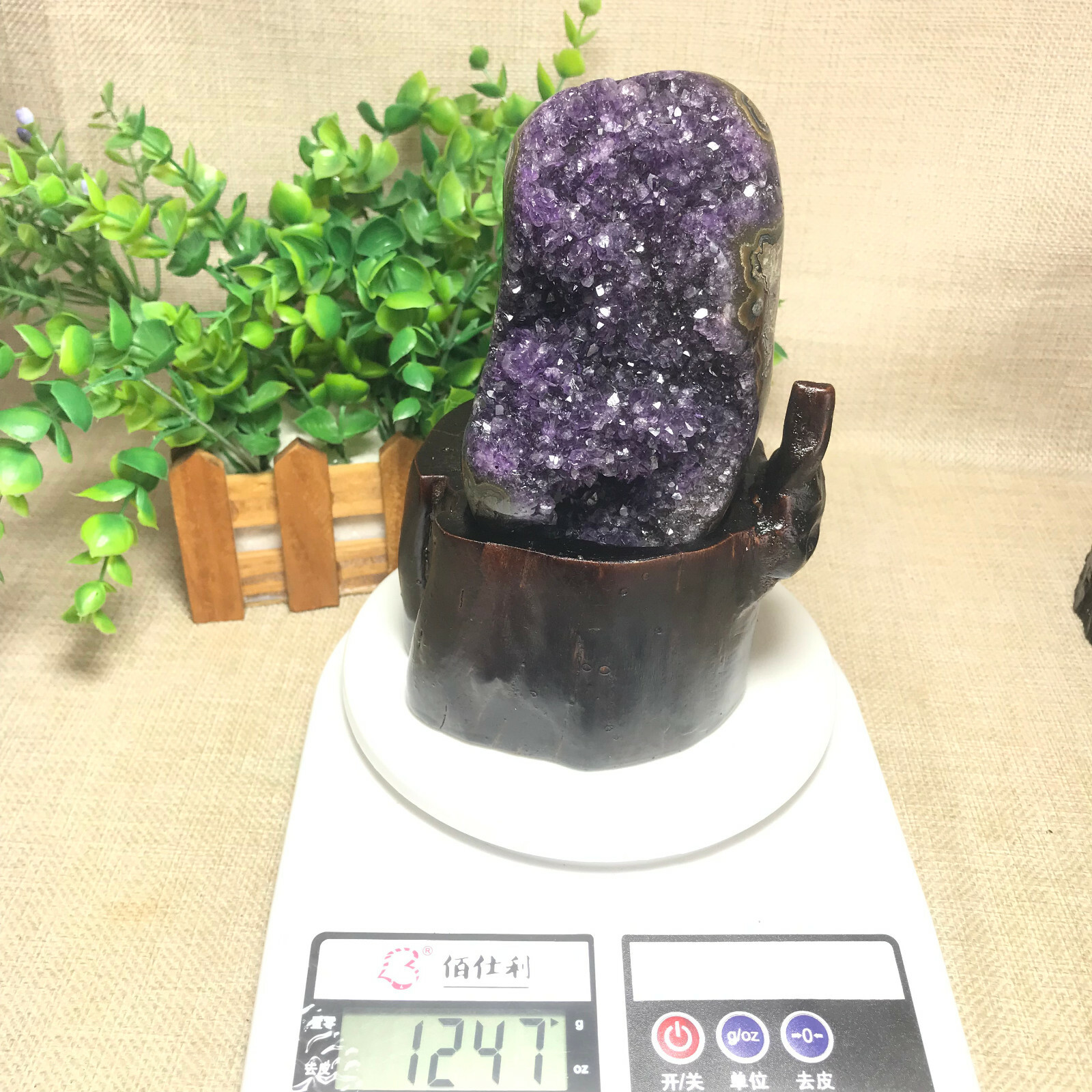 1247g Natural Uruguay Deep Purple Crystal Quartz Amethyst Geode Clusters +Stand