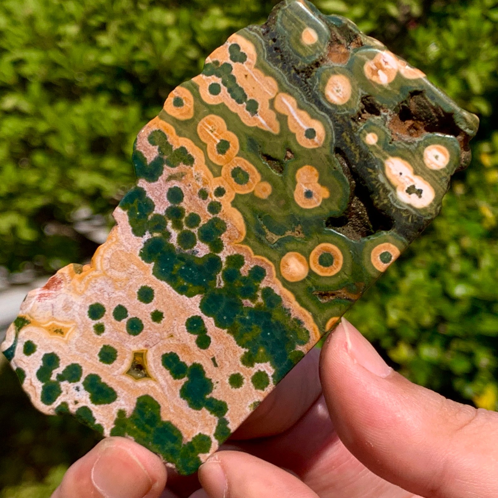 82G Natural Ocean Jasper Crystal SliceLarge Specimen Healing- Museum