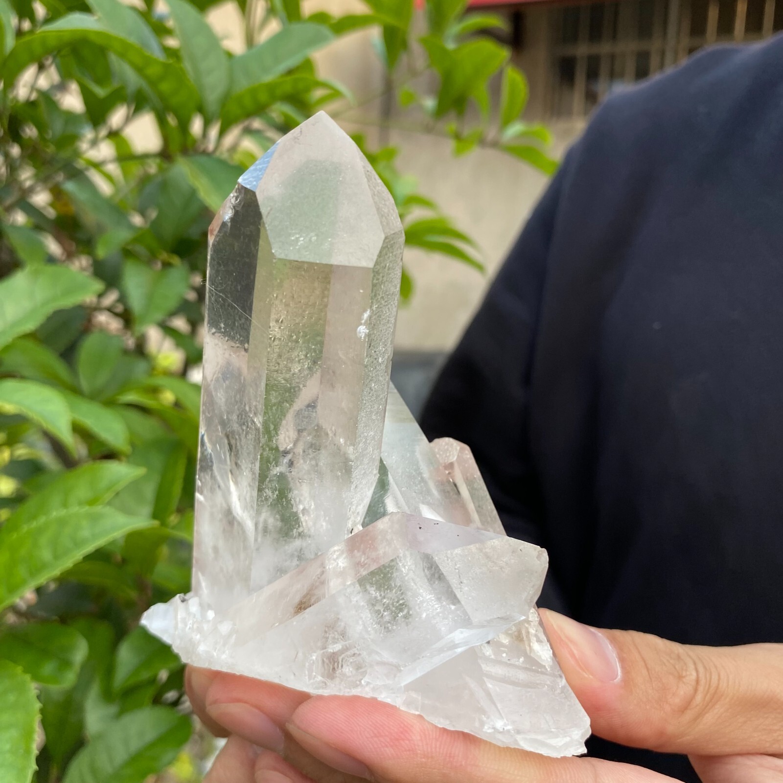 0.7lb Natural Clear White quart Crystal Cluster Raw Healing Specimen
