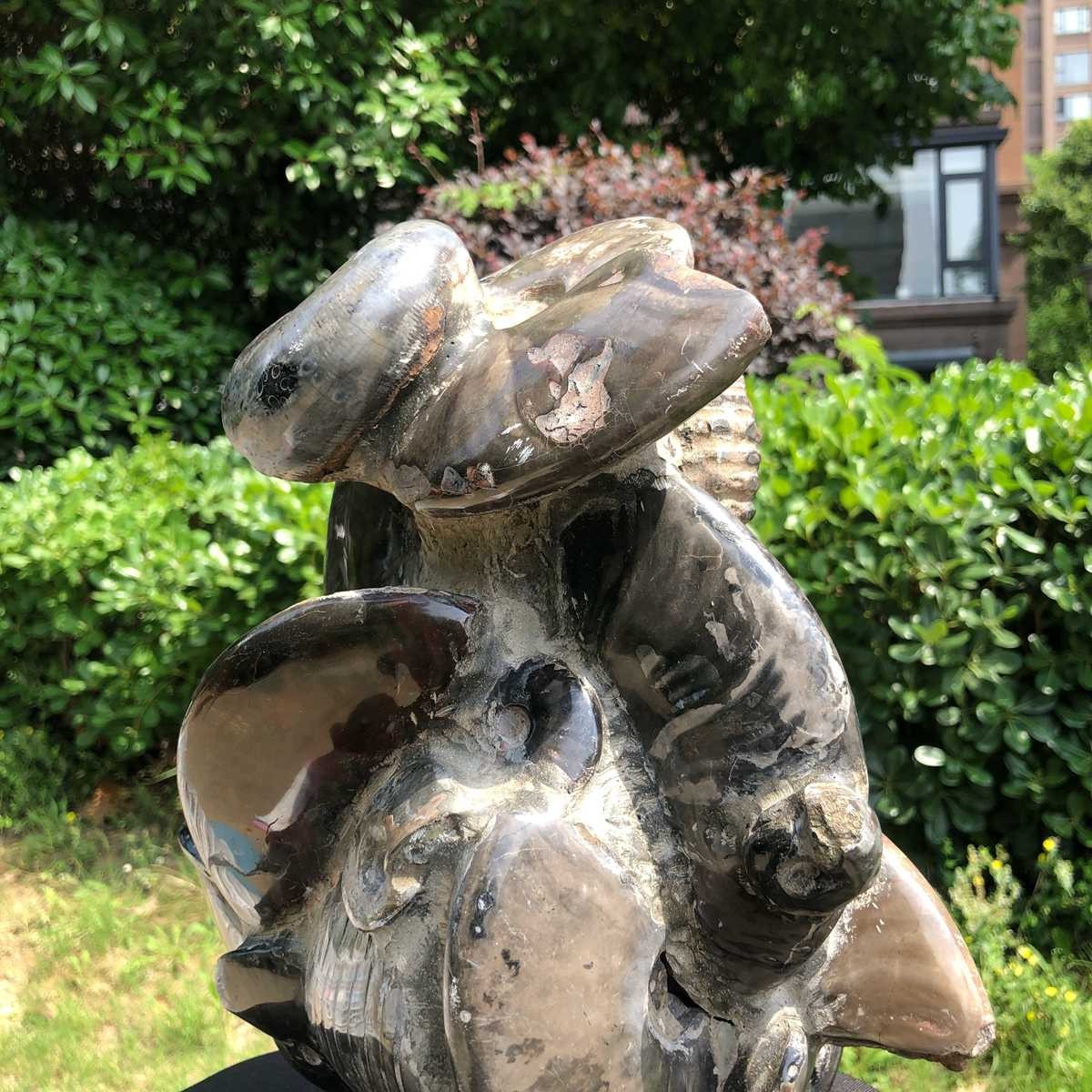 13.09LB Natural Beautiful Ammonite Fossil Conch Crystal Specimen Healing 5130