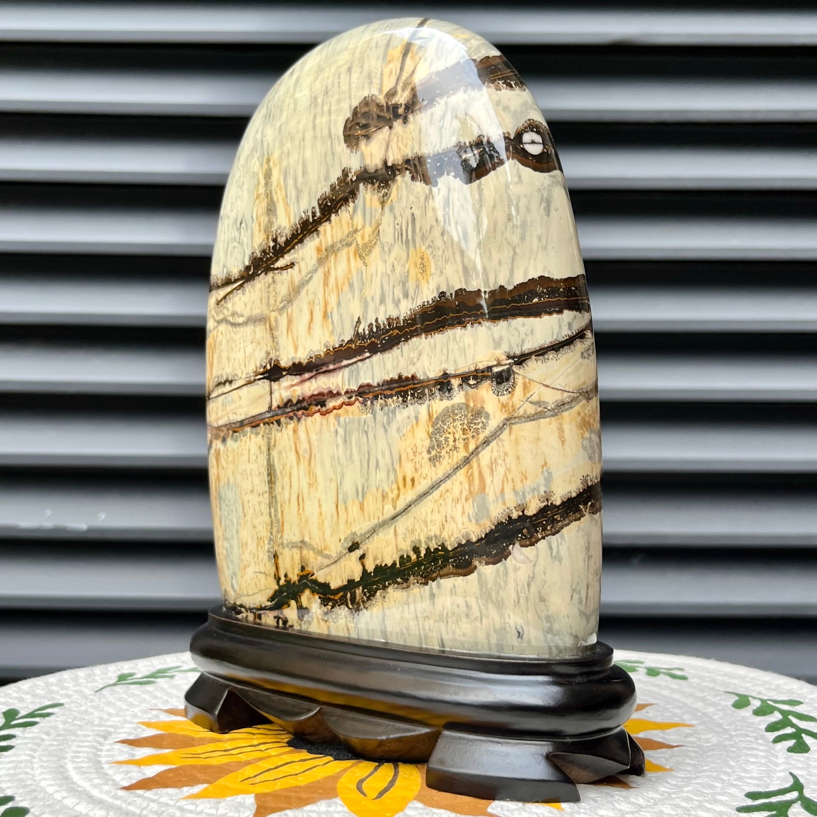 5.3 lb Landscape Stone Polished Arc Mineral Specimen Collectible Display Art