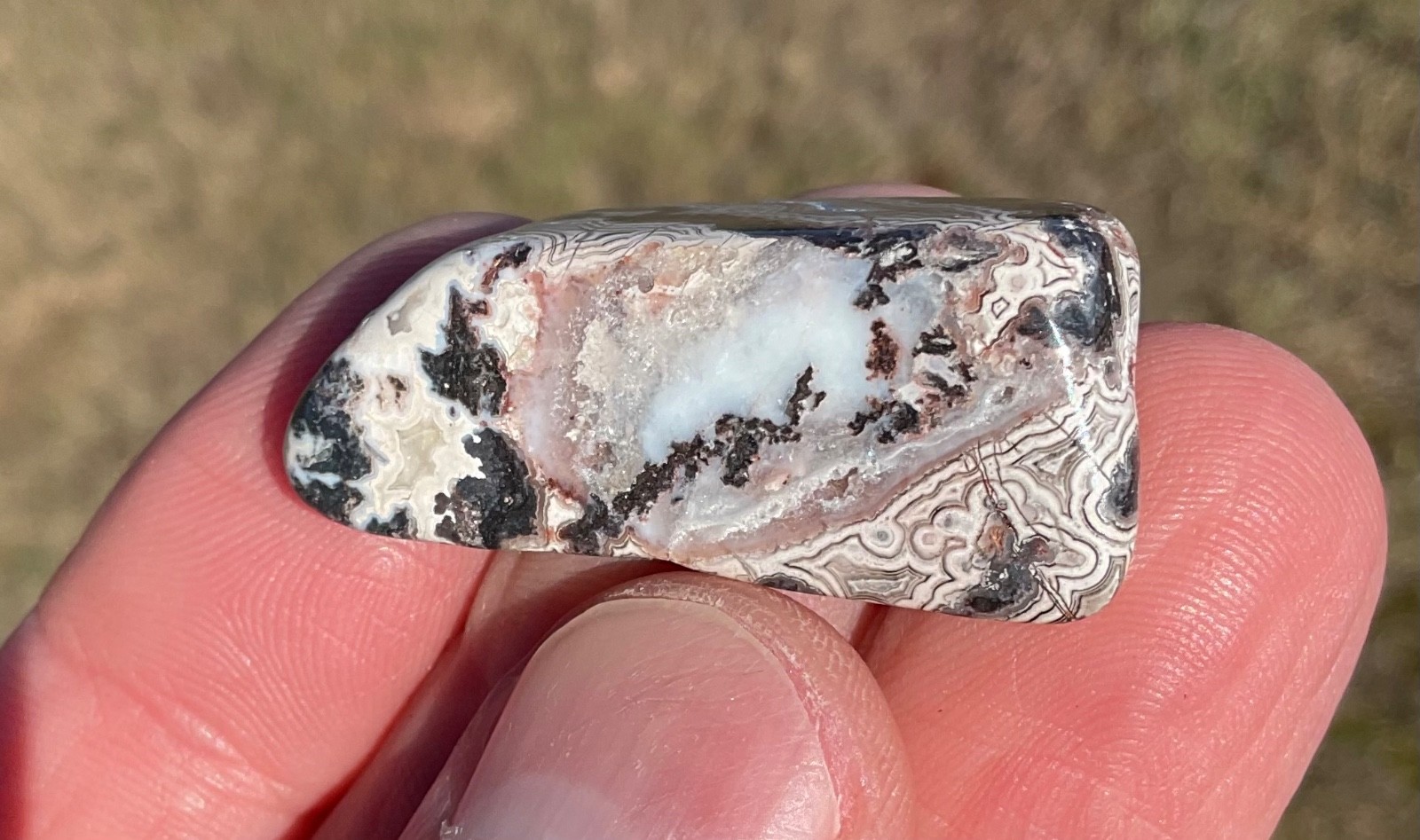 Polished Crazy Lace Agate Cabochon Preform Lapidary Gemstone High Grade