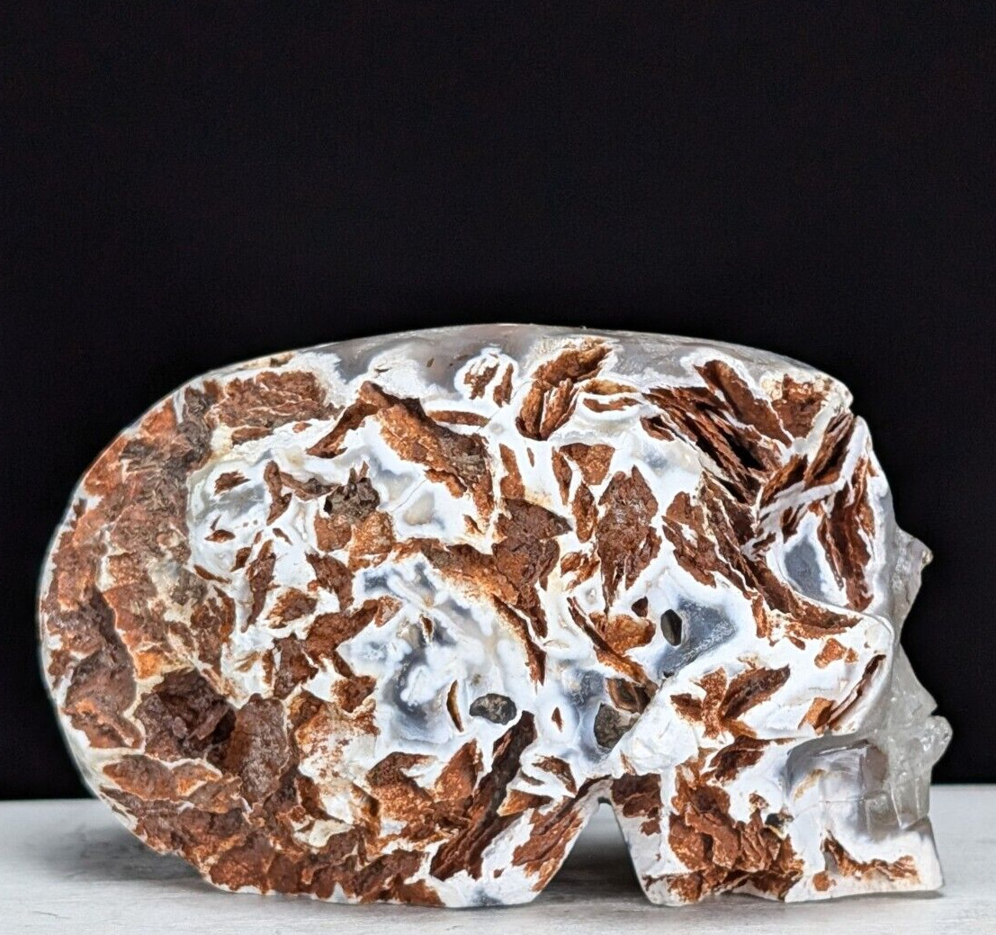 Quartz Skull Carving Druzy Geode Half Face Large Crystal Chakra Gemstone
