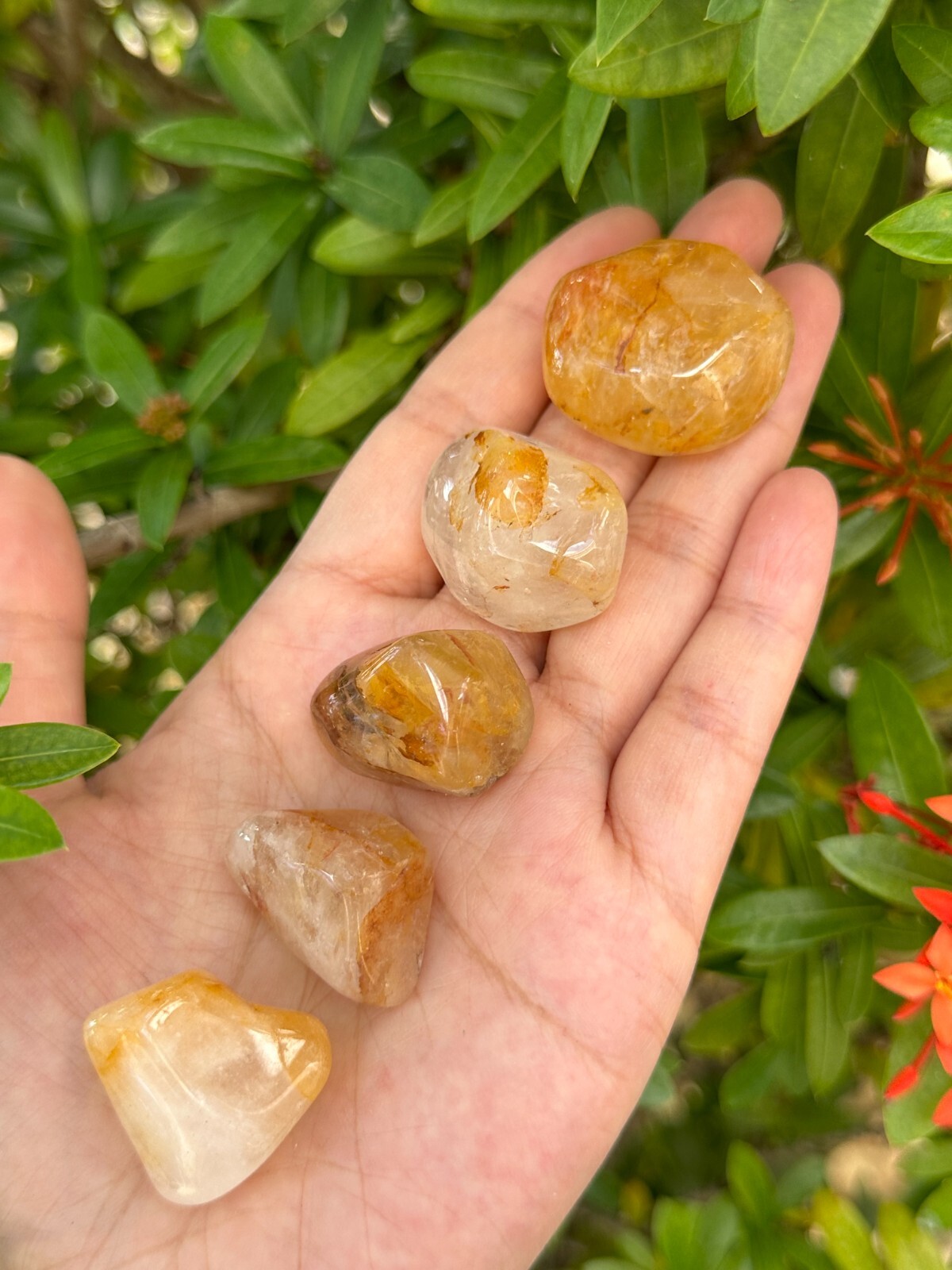 Grade A++Golden Healer Quartz Tumbled Stones 0.75-1.25″, Pick How Many