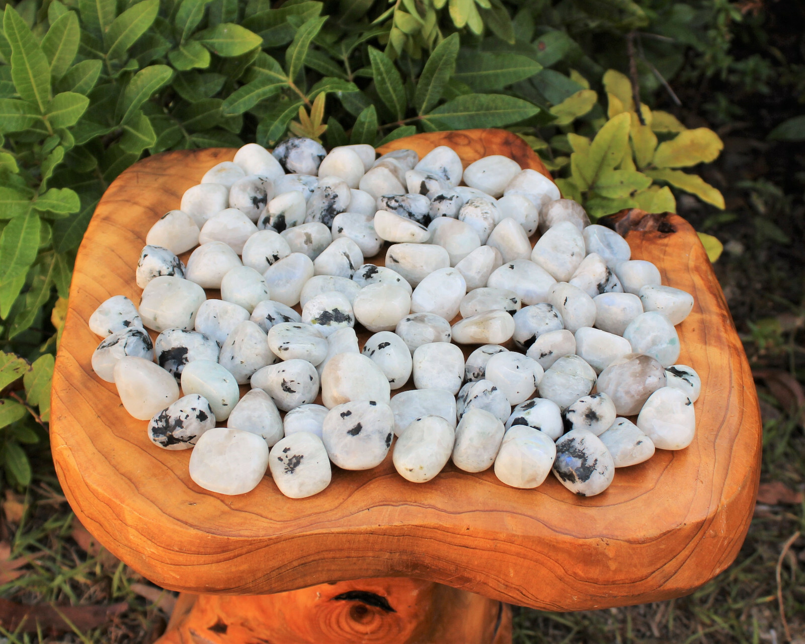 Rainbow Moonstone 1 MEDIUM/LARGE Tumbled Stone Crystal Healing (0.75″ – 1″)