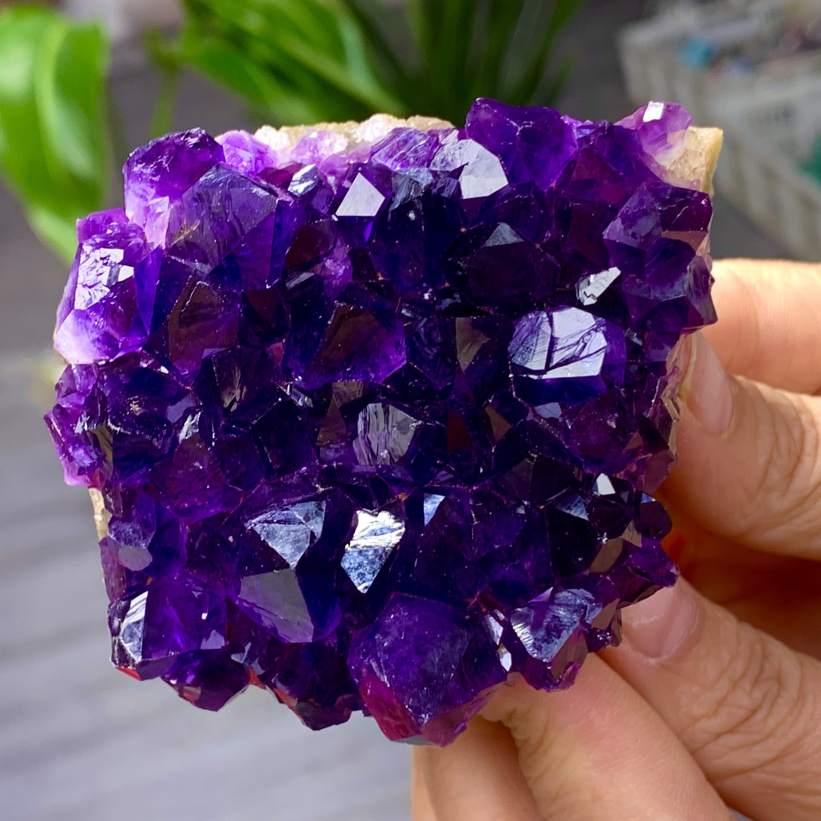 239G Natural Amethyst geode quartz clustercrystal specimen Healing
