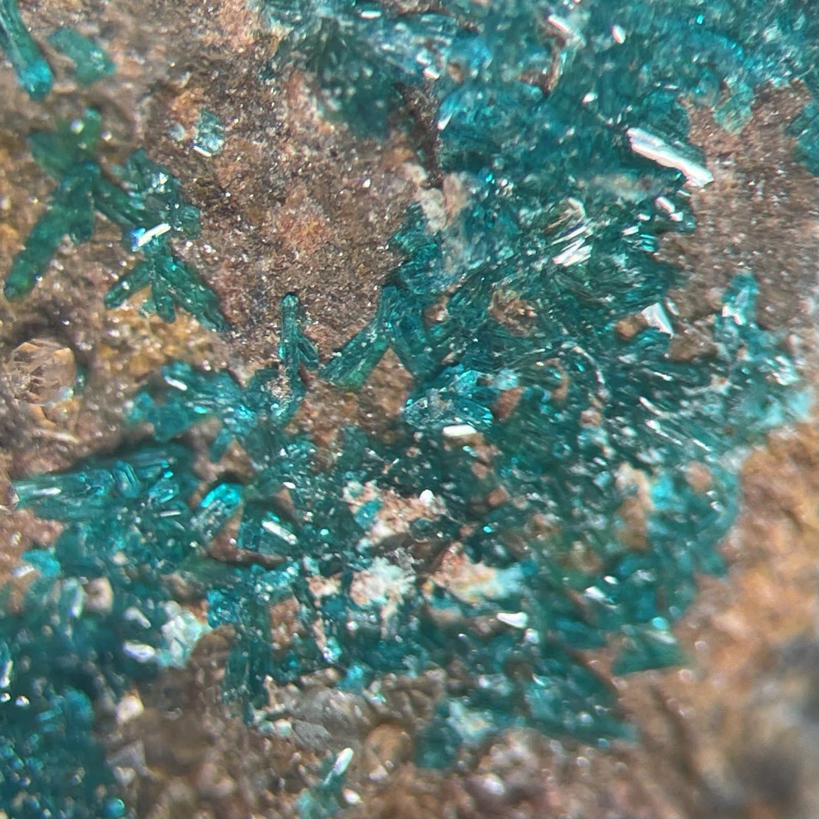 Dioptase Crystal Druzy Harquahala Mine ARIZONA USA