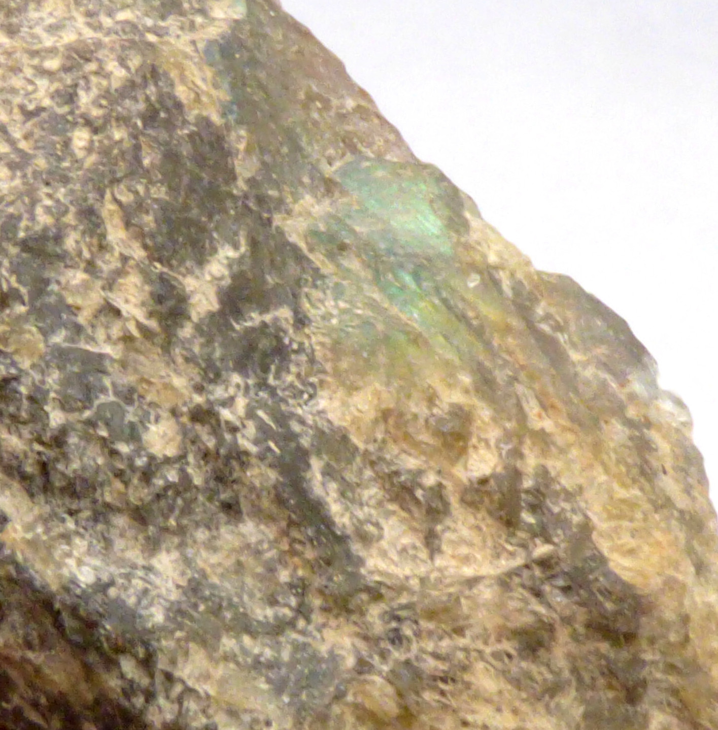Labradorite Slice Blue Green Flash Iridescent Lustre Semi Polished Piece 5cm