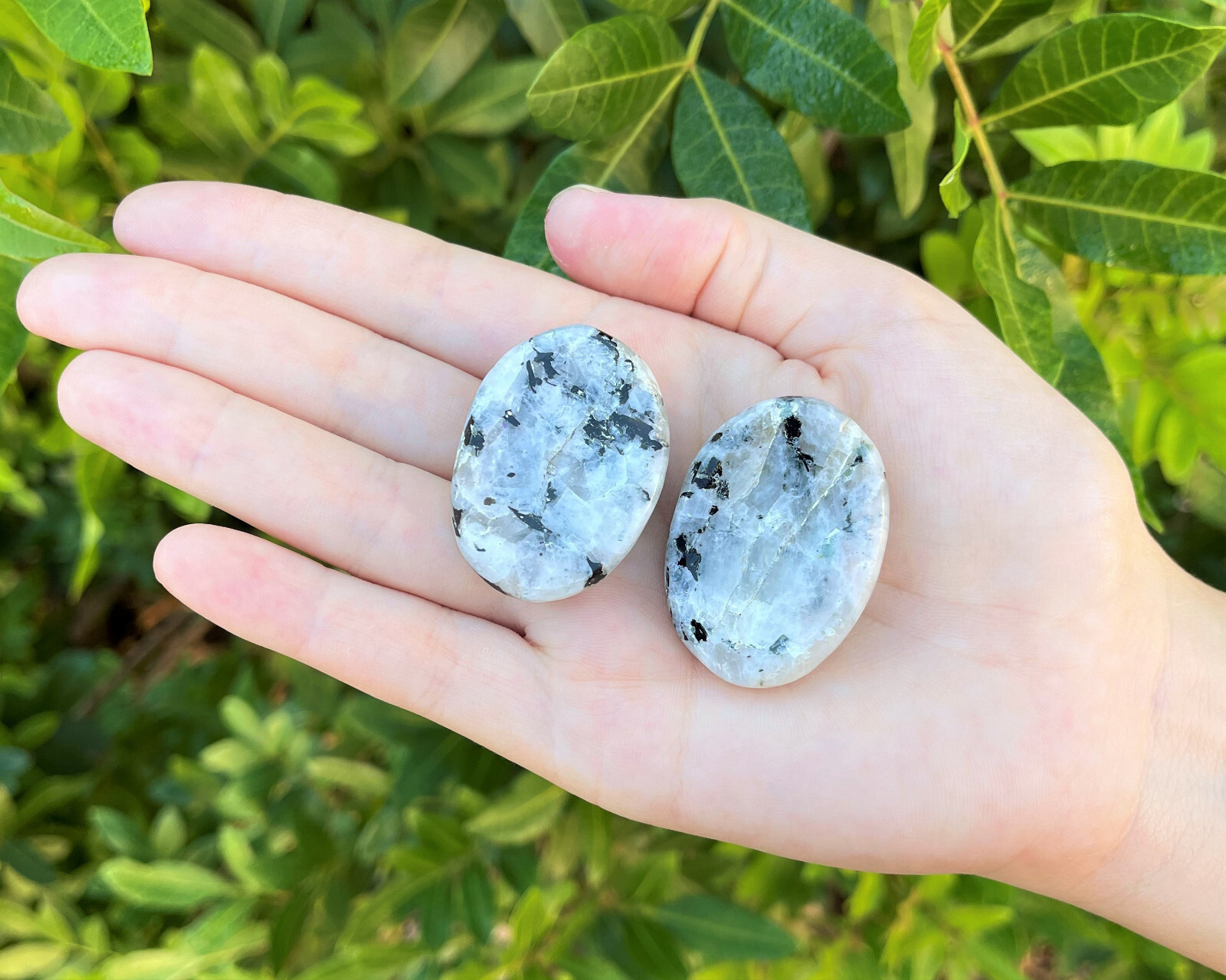 Rainbow Moonstone Worry Stone (Smooth Polished Rainbow Moonstone Palm Stone)