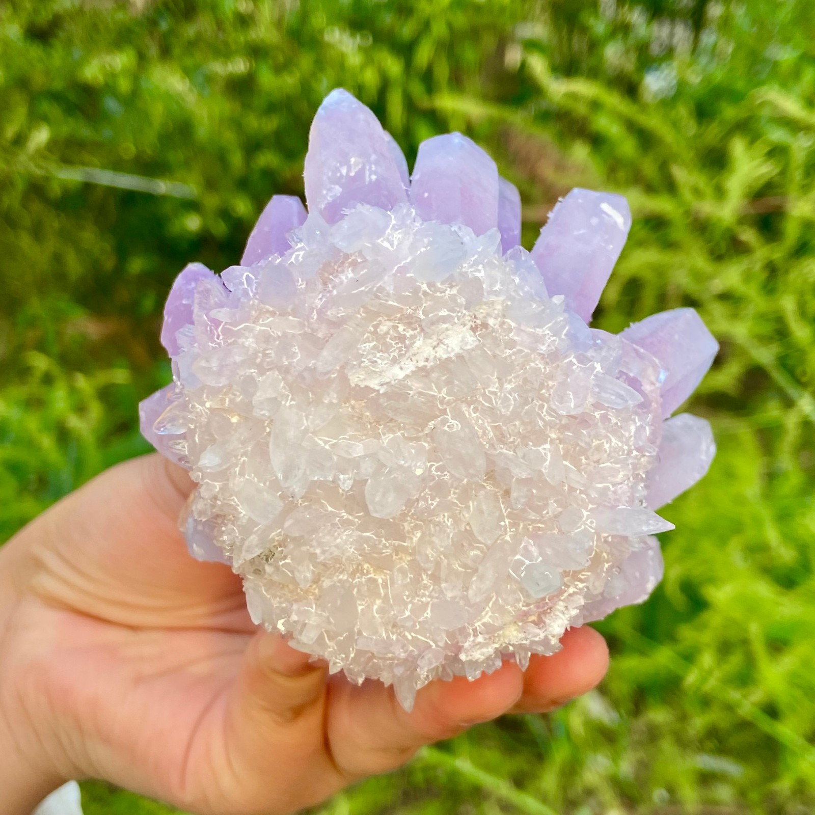 416G New Find PURPLE Phantom Cluster MineralSpecimen