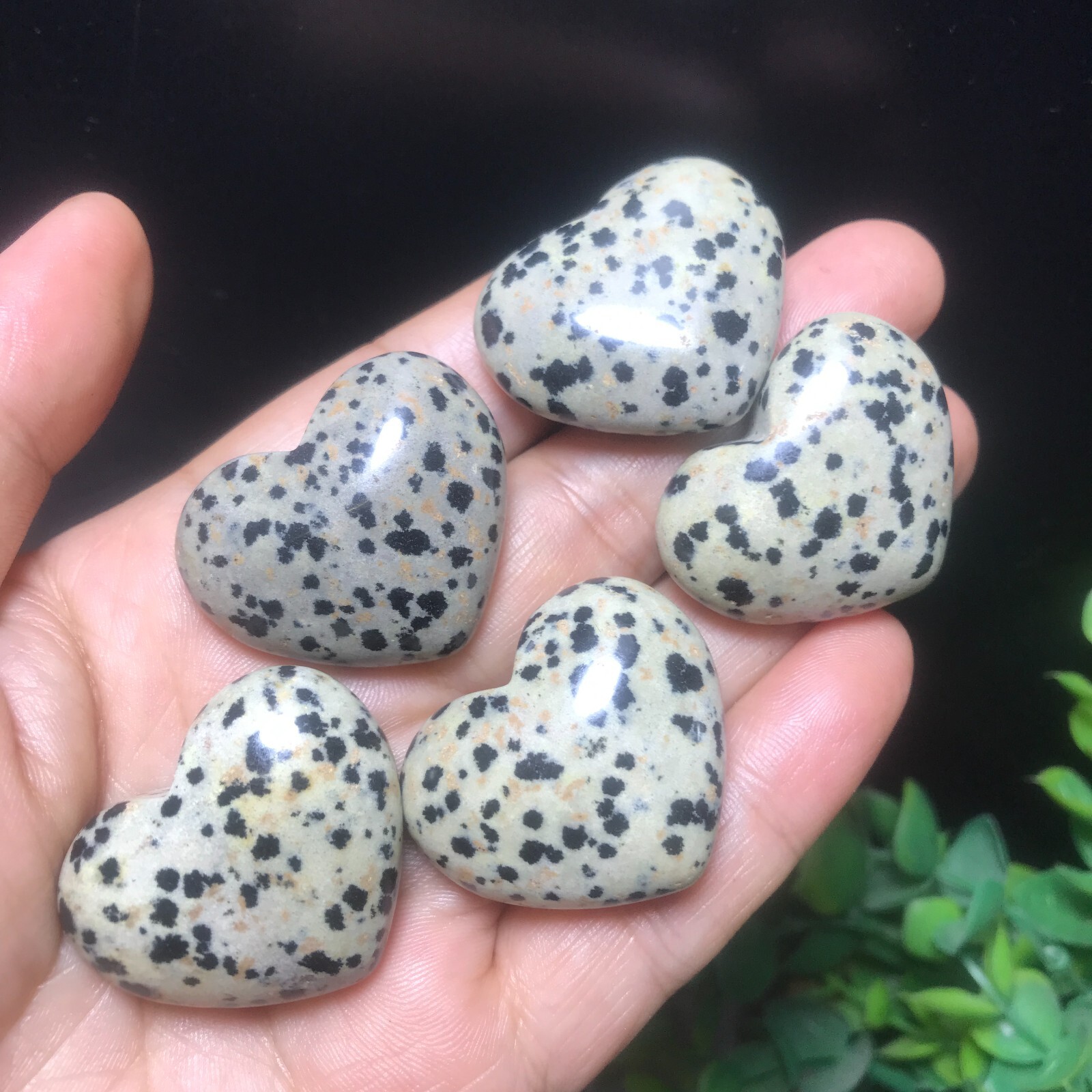 5PC 84g Natural Dalmatian Jasper Crystal Heart Crystal Home Office Decorative