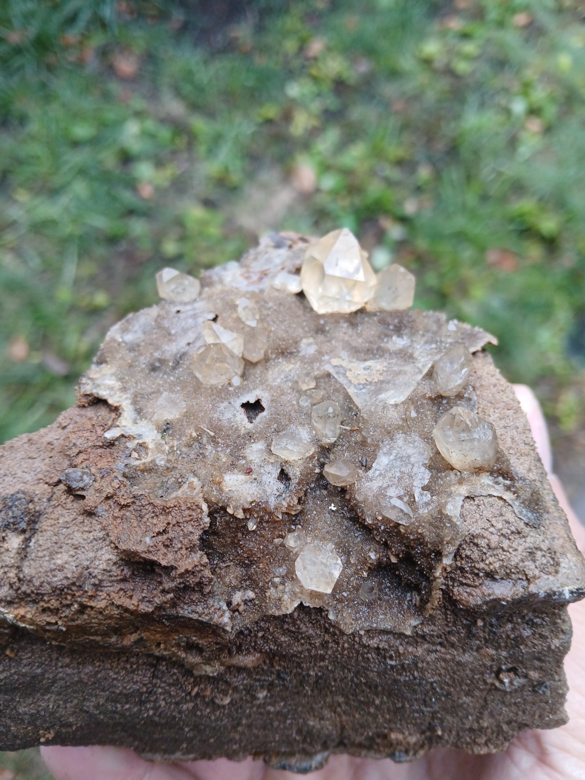 “Gorgeous 😍 Golden Healer” Herkimer💎s On Druze Matrix Dolostone Host Rock NY