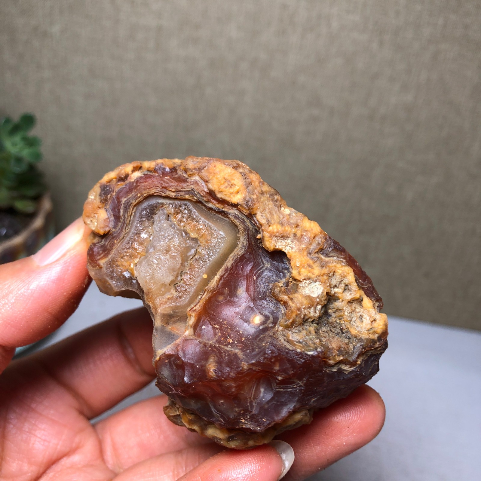 146g natural Bonsai Suiseki Gobi Agate Eyes Stone-Stunning original View A4619