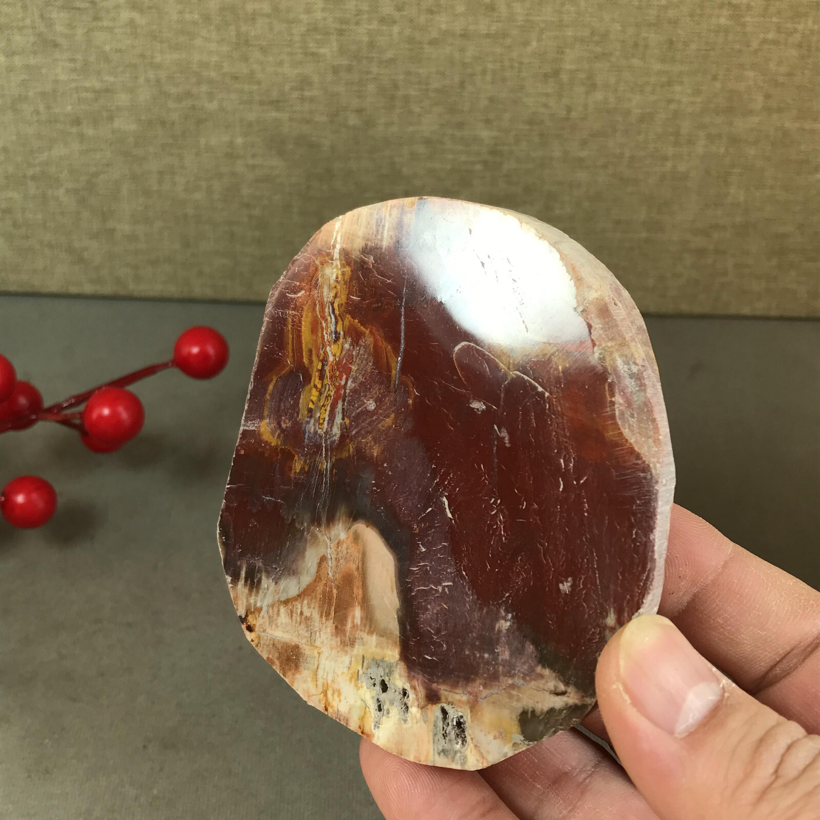 92mm natural Beautiful Petrified Wood Crystal Slice mineral specimen 266g A5424