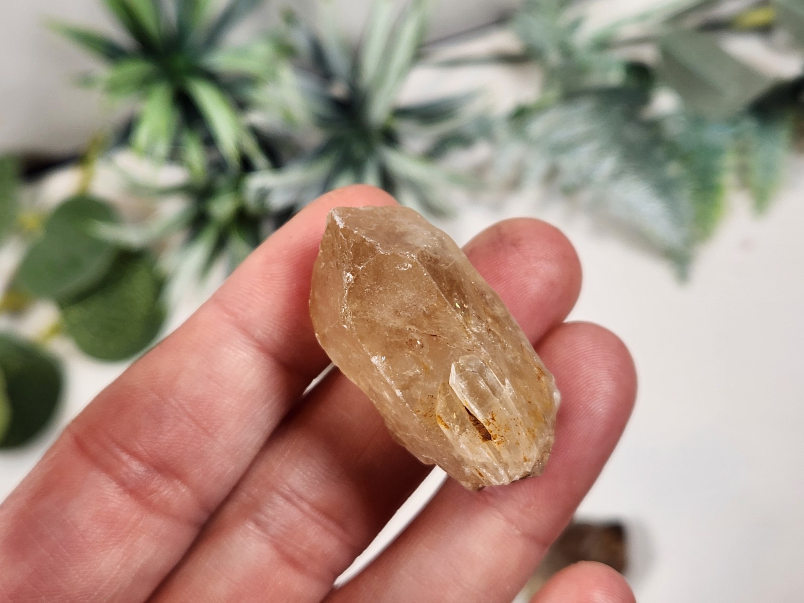 Lot Smoky Citrine / Citrine Llwena CONGO raw natural crystal point 100g A2