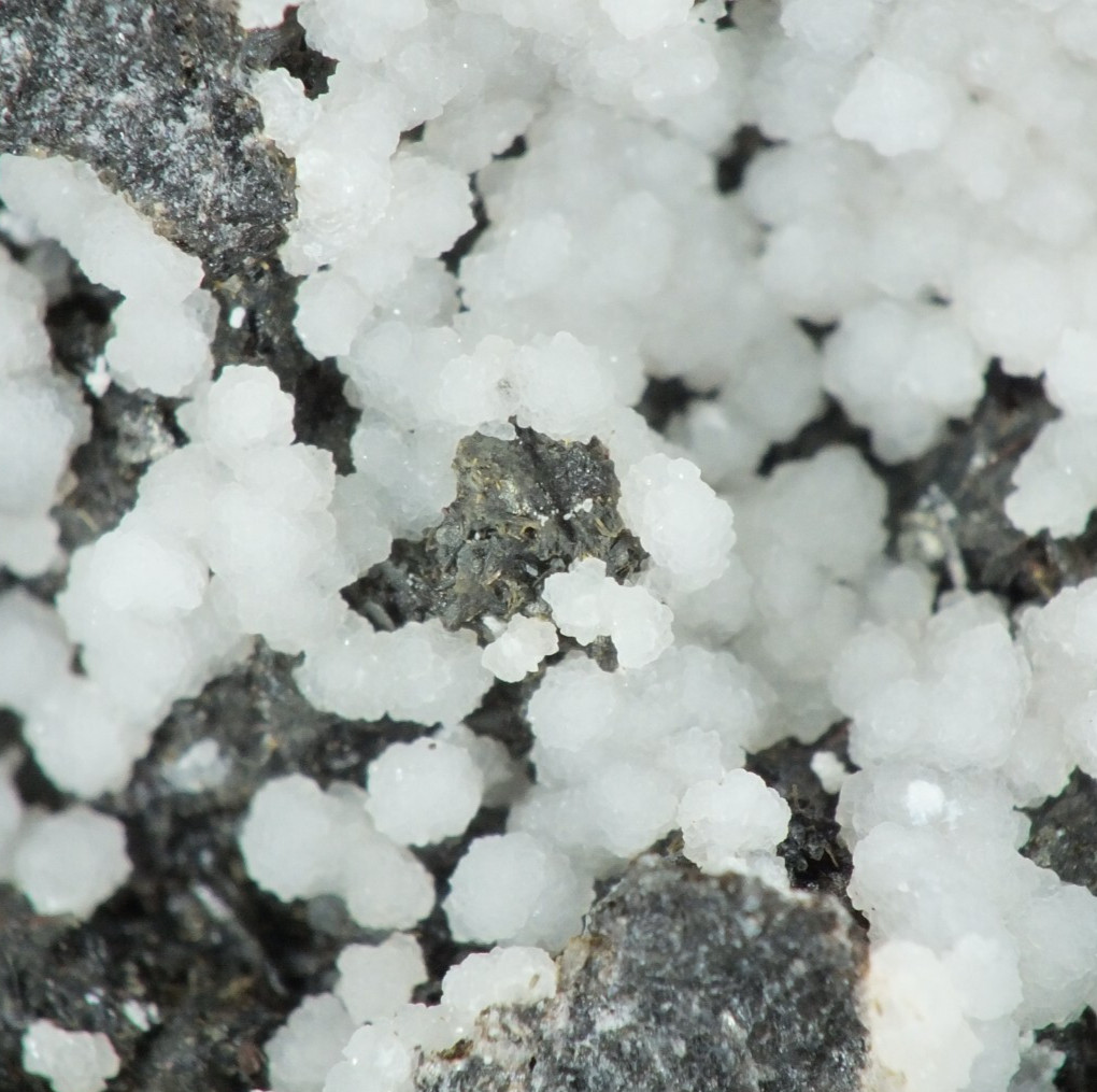 Calcite Crystals with Huntite. Gisborne Victoria Australia (EA10119)