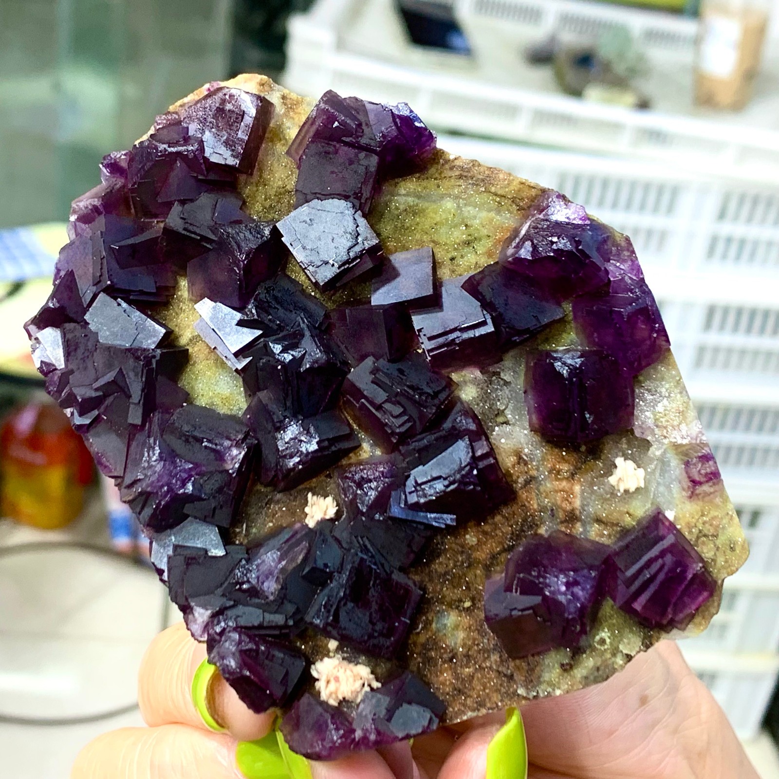 331G Rare Purple cubic fluorite mineral crystal sample/Zhejiang