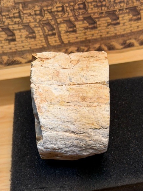 rocks fossils minerals crystals display specimen