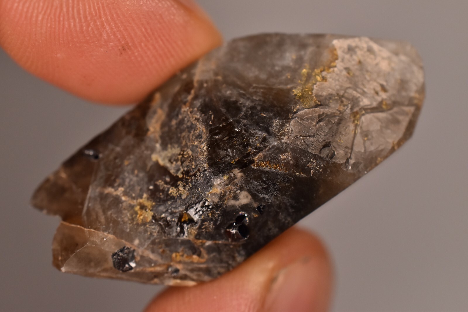 *AUSTRALIAN CASSITERITE* In Smokey Quartz 4.3cm 18.7g Natural Crystal Elsmore