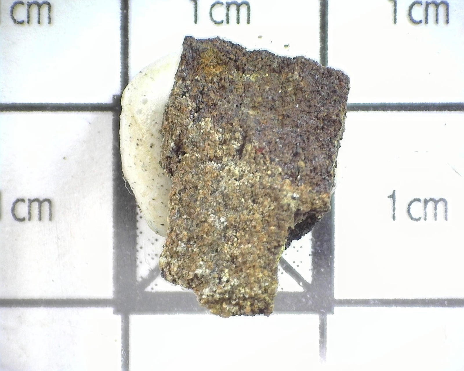 13019 MM Metamunierite Pascoite D-Day Mines Group Grand County Utah USA 269398