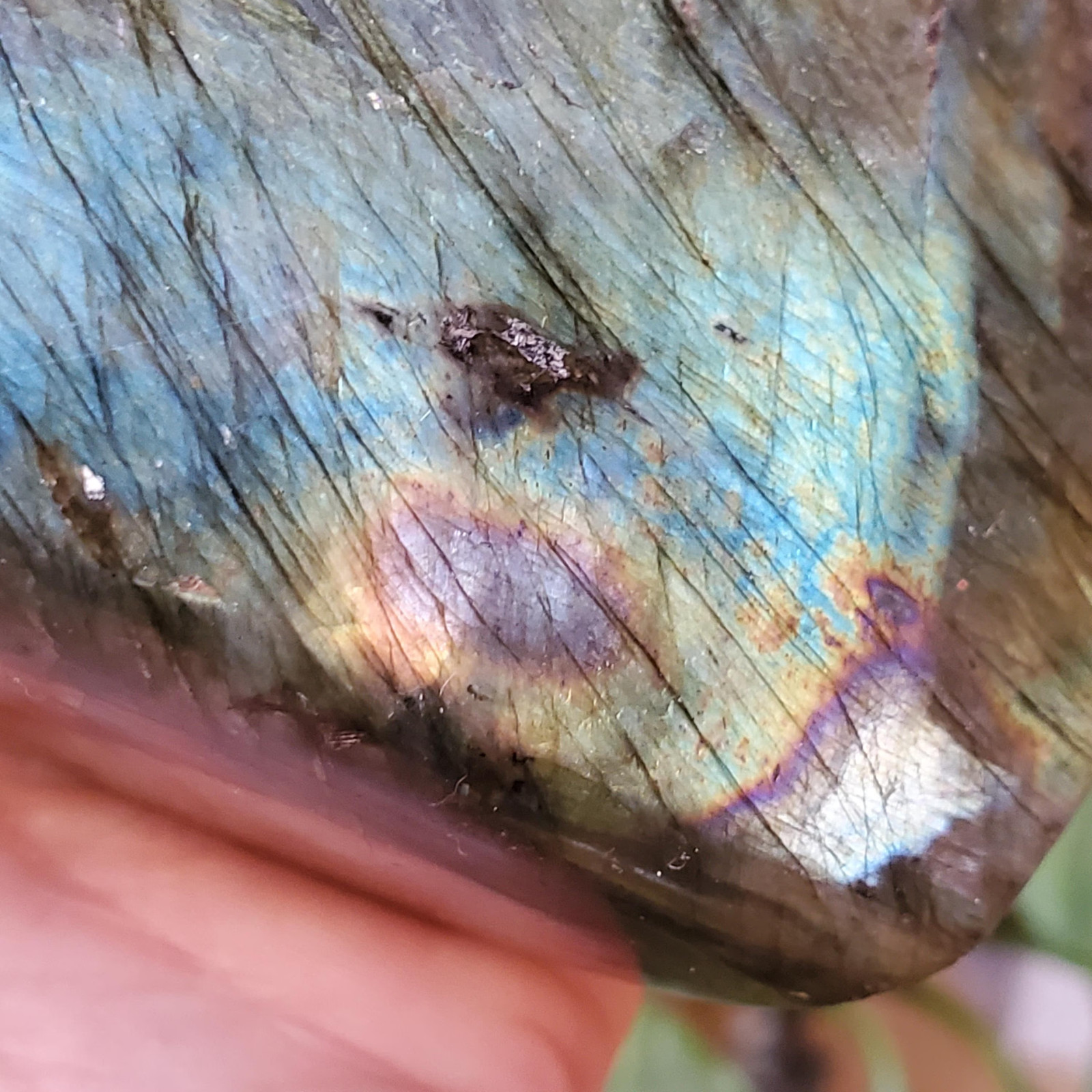 Labradorite Spectrolite Blue & Yellow Flash Crystal Slab Freeform 952 grams