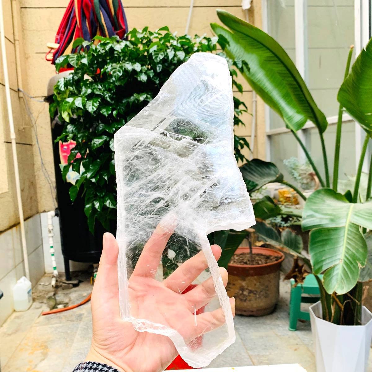 2.84LB Natural Clear Transparent Selenite Slab Gypsum Crystal Mineral Specimen