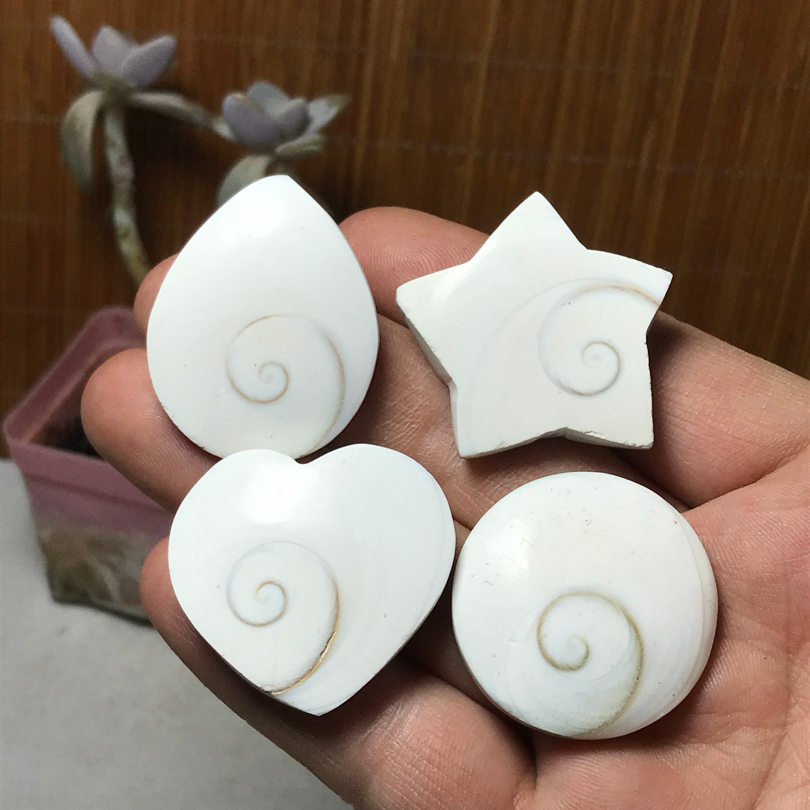 4Pcs Natural sun shell star Heart Reiki Shiva Eye ocean quartz carve A3331
