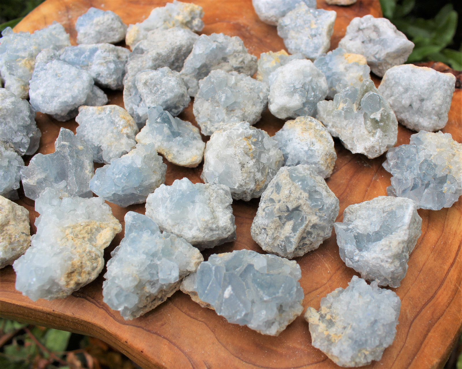 Mini Celestite Crystal Cluster Bulk Wholesale Lots (Sky Blue Celestite Druze)