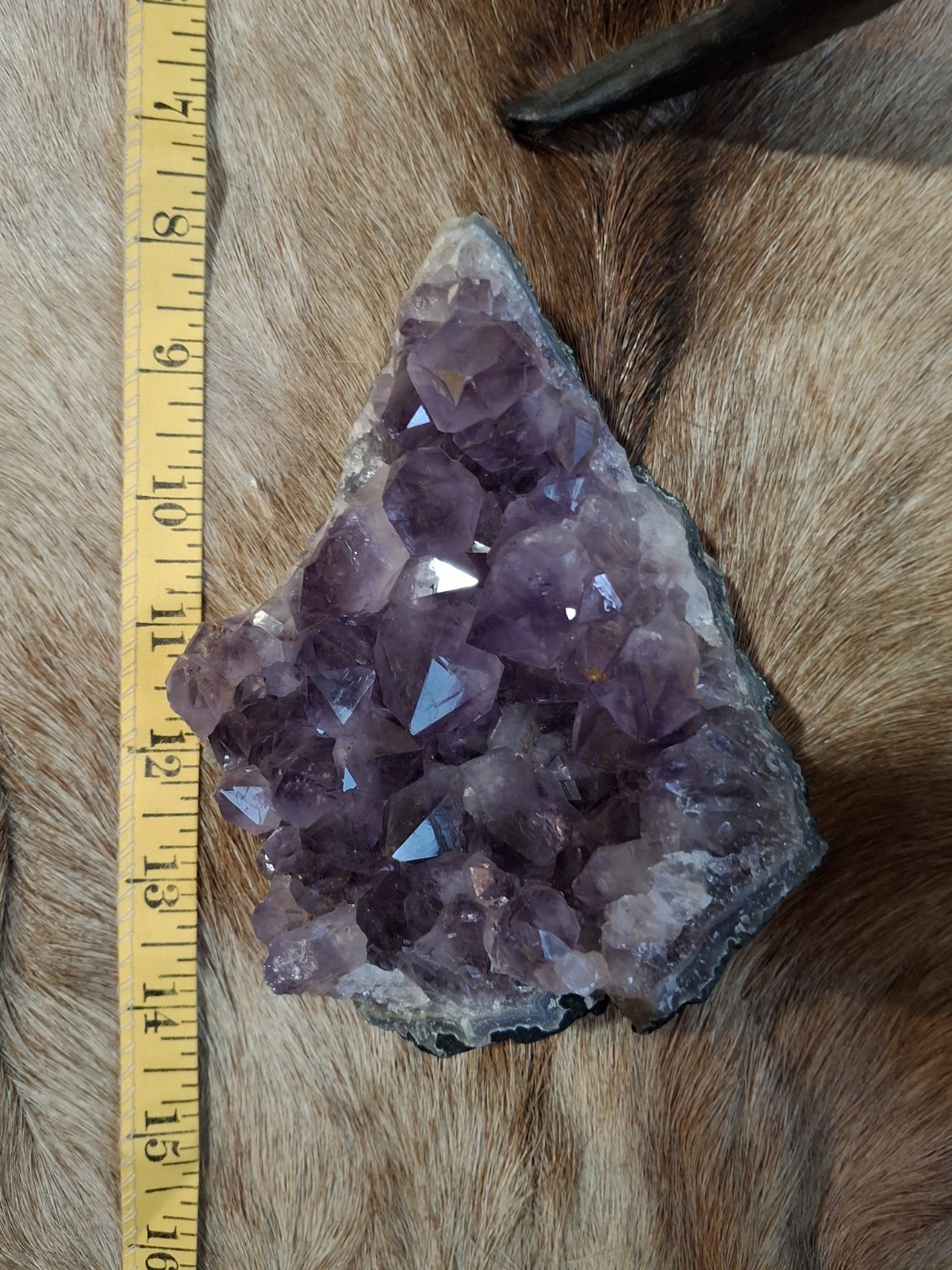 Amethyst Cluster