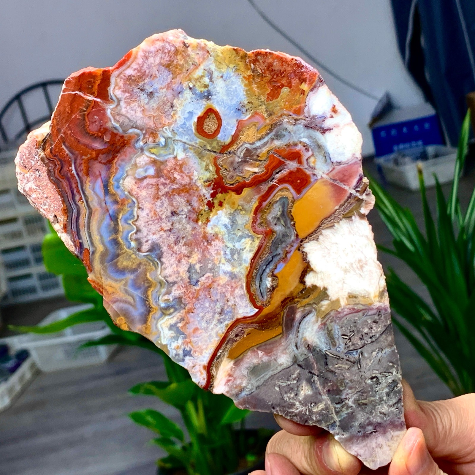 449G Natural Red Crazy Ribbon Lace Agate Crystal Polishing Sheet Mexico Repair