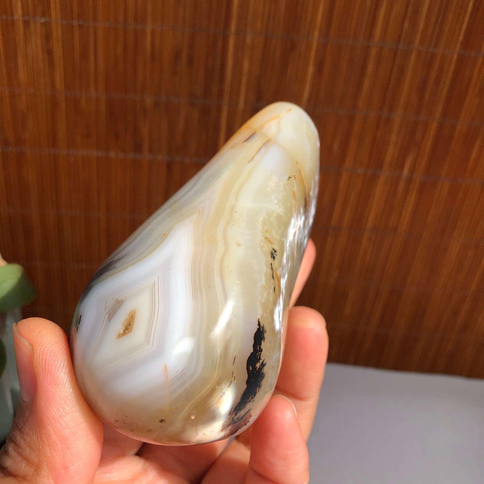 80mm Natural aquatic plants agate pretty Crystal specimens 235g A1485