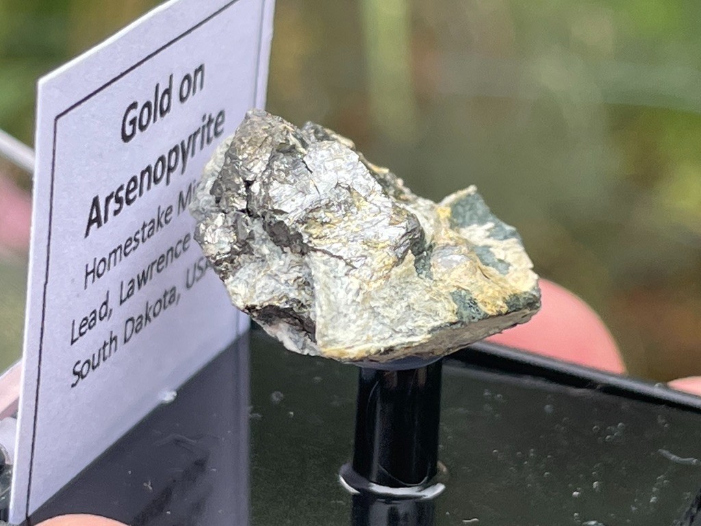 Native Gold on Arsenopyrite, Homestake Mine, Lead, Lawrence Co., South Dakota