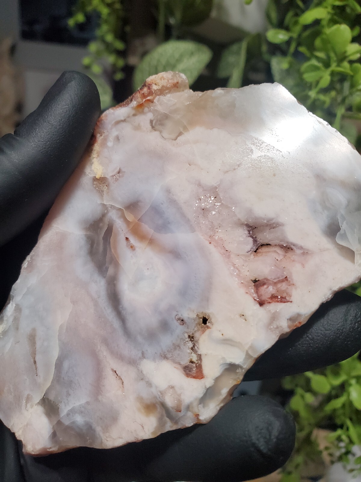 124g Beautiful Flower Agate Slice Slab Crystal Quartz Energy Healing Crystal