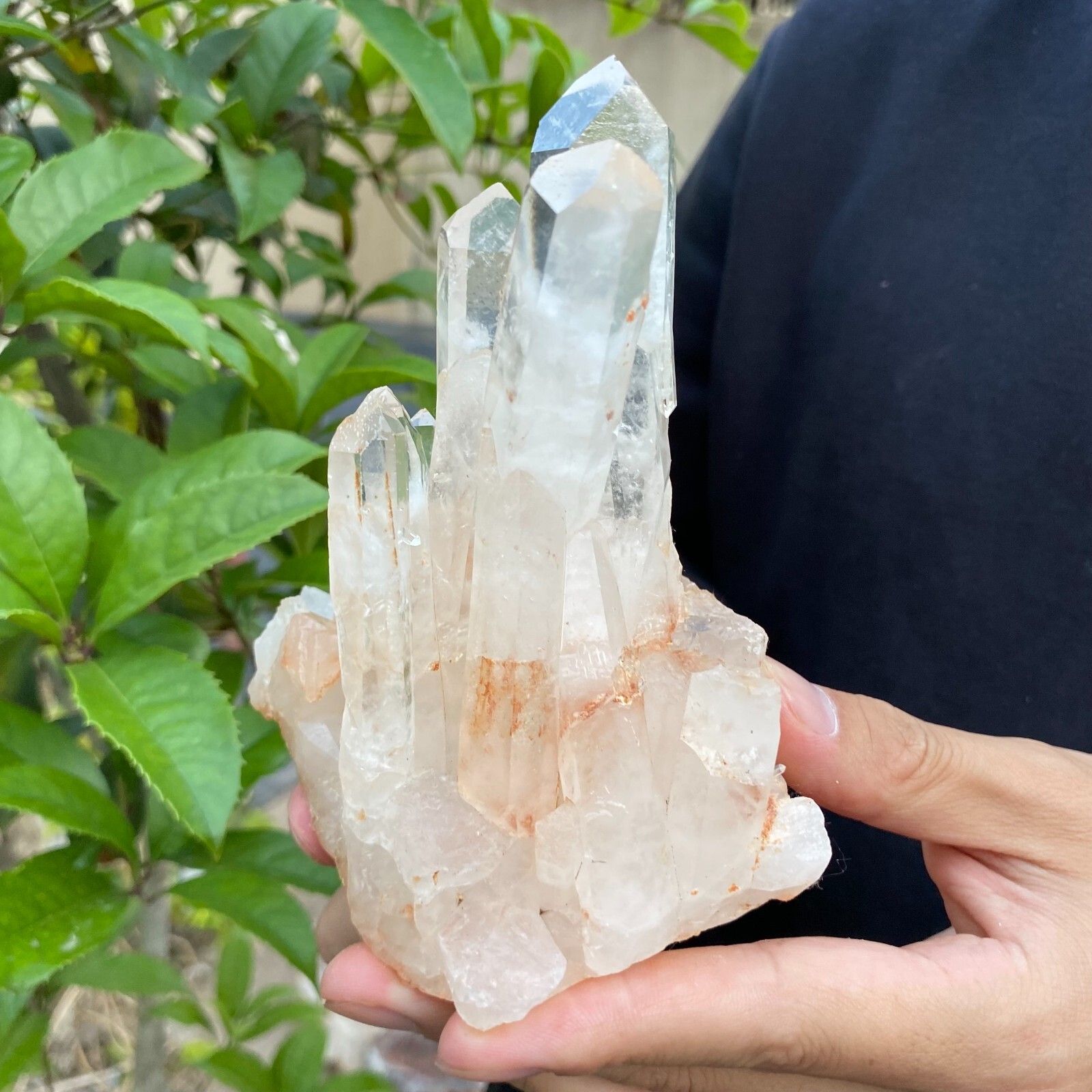 1.2lb Natural Clear White quart Crystal Cluster Raw Healing Specimen