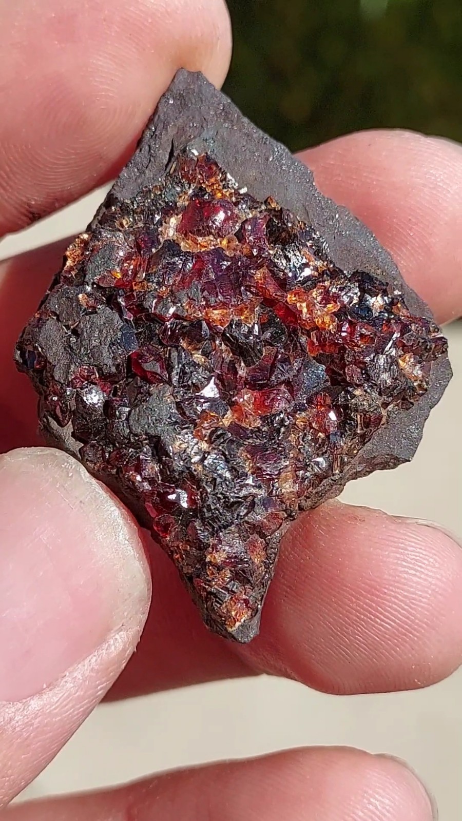 ULTRA RARE GEM RHODOCHROSITE ON MATRIX N’Chwaning I Mine, KMF, South Africa