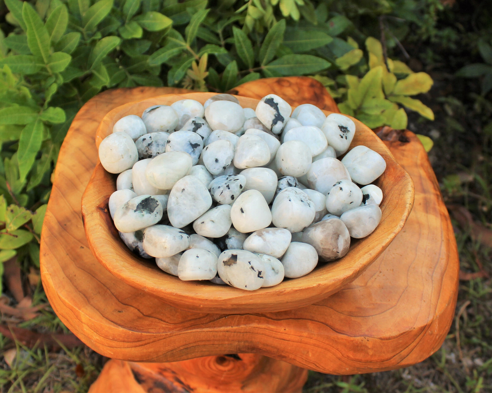 1/2 lb Bulk Lot Rainbow Moonstone Tumbled Stone Crystal Healing Energy (8 oz)