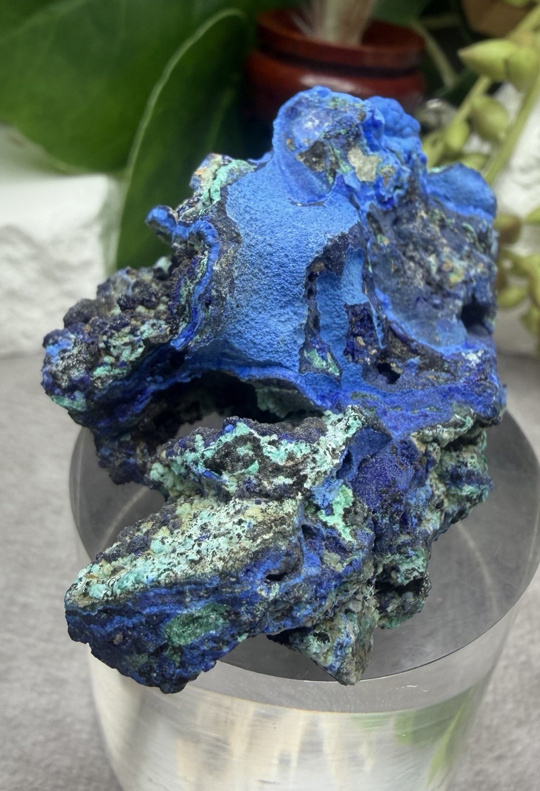 Crystal 76g Azurite & Malachite Cluster Specimen Mineral Raw Druzy Sparkle