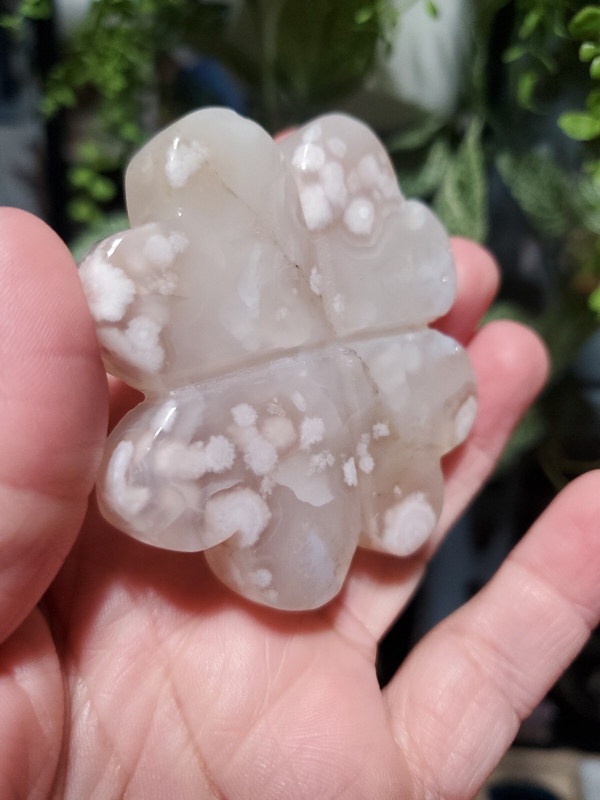 104g Natural Flower Agate Four-leaf Clover Crystal Quartz BIN W