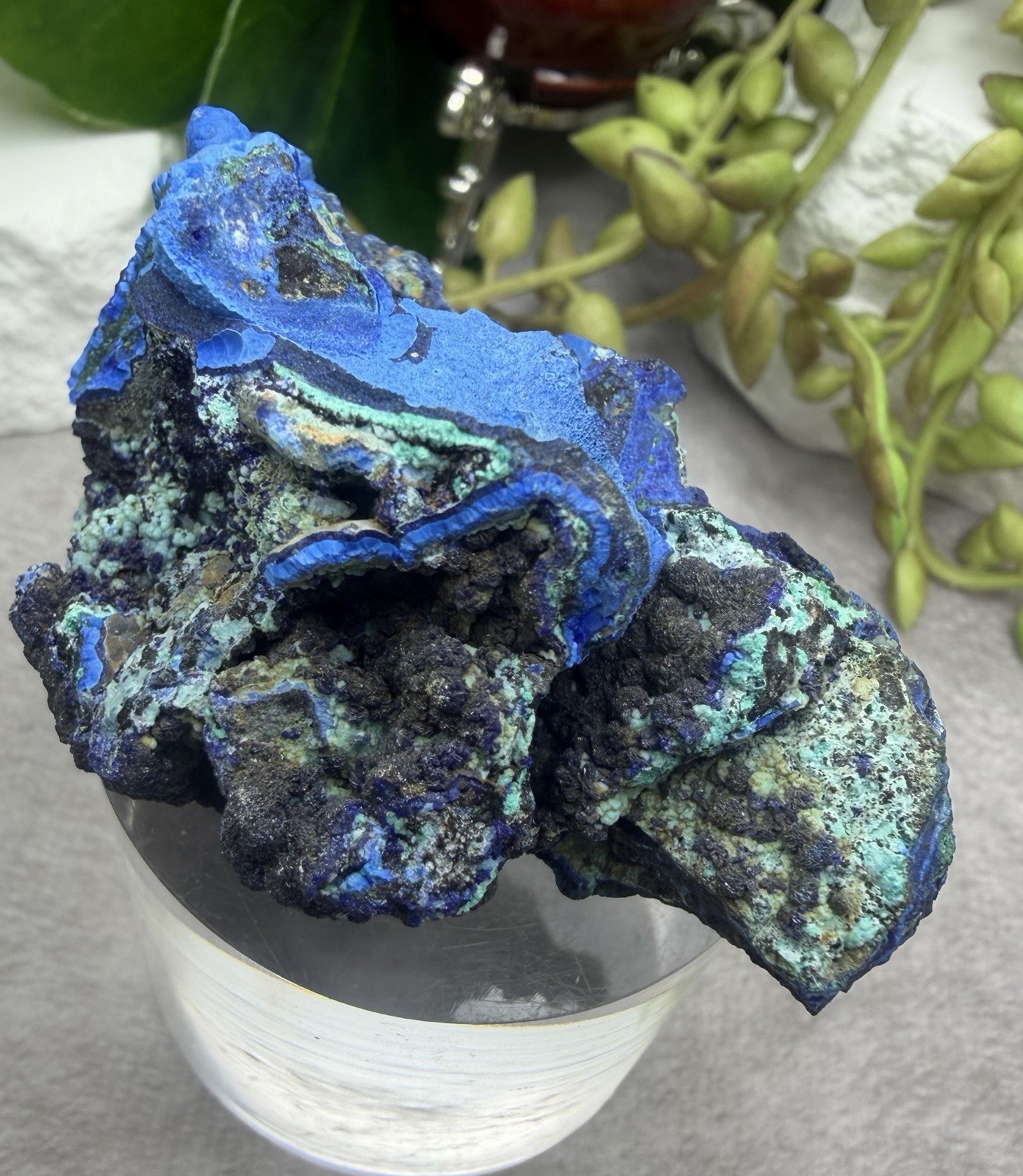Crystal 76g Azurite & Malachite Cluster Specimen Mineral Raw Druzy Sparkle