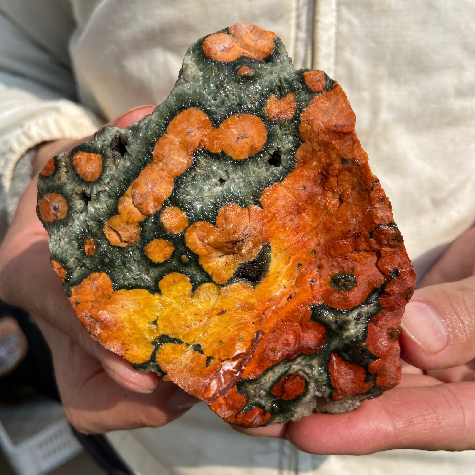 1lb Natural colourful ocean jasper raw stone crystal rough mineral specimen