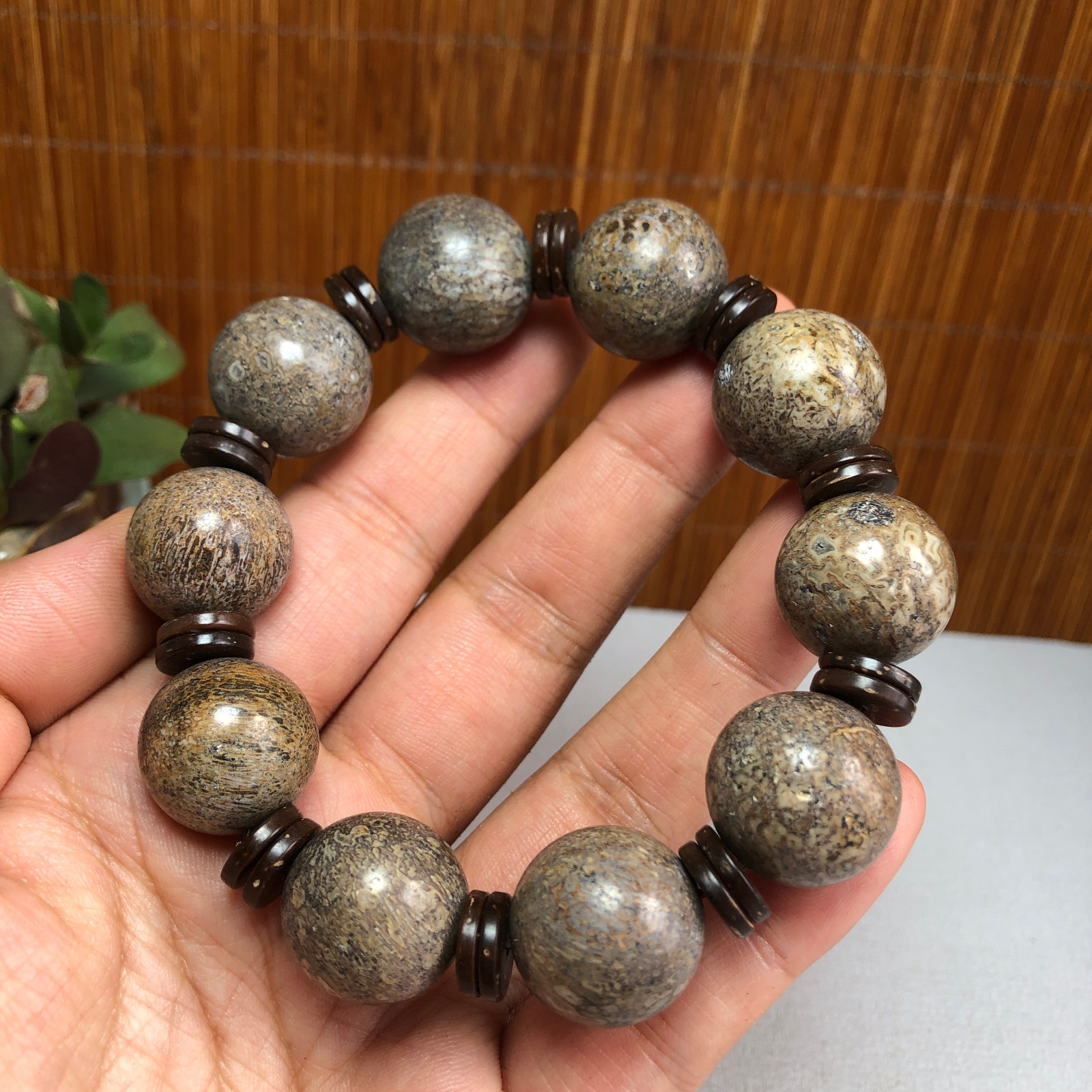 17+mm Natural dinosaur bone gemstone Crystal chain bracelet Specimen 87g A1077