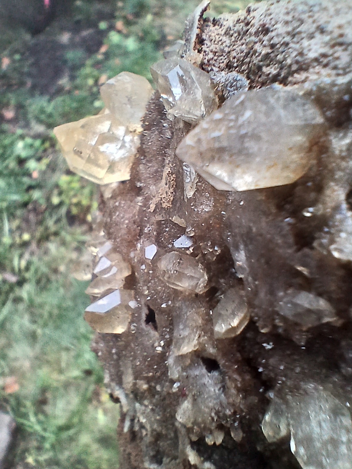 “Gorgeous 😍 Golden Healer” Herkimer💎s On Druze Matrix Dolostone Host Rock NY
