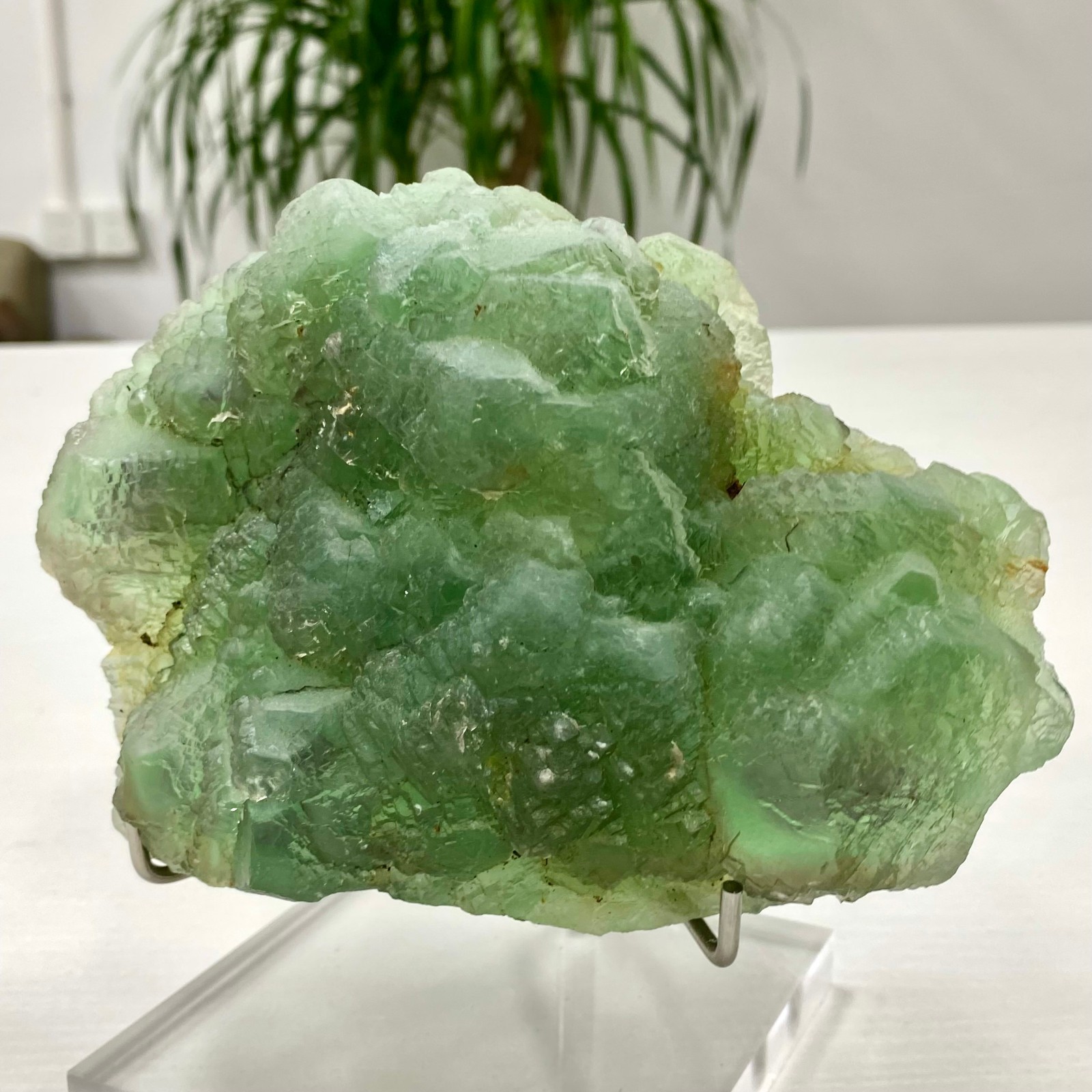 3.64LB Natural transparent green cubic fluorite mineral crystal sample/China