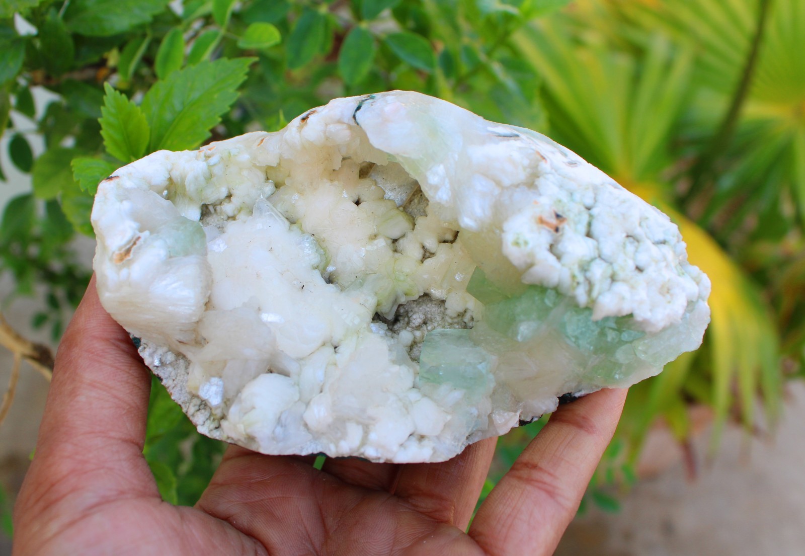 GREEN APOPHYLLITE CRYSTALS w/ HEULANDITE IN GEODE MINERALS SPECIMEN #A43