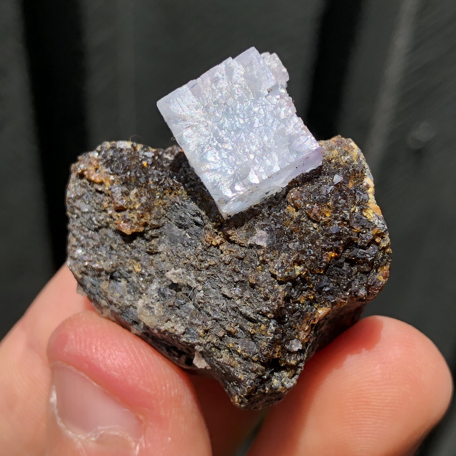 3.5cm Blue Fluorite on Sphalerite from Annabel Lee Mine, Illinois, USA